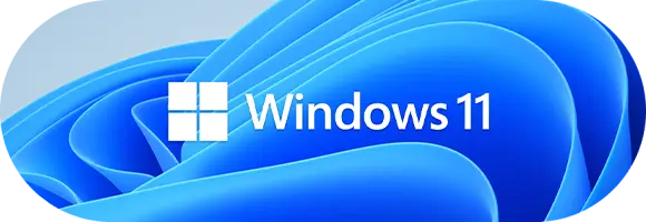 win11-wpnulle